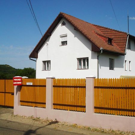 Podgoria Guesthouse- Camere De Inchiriat Nagyvárad Kültér fotó